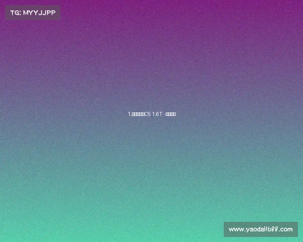 1.东风雪铁龙C5 1.6T - 试车评测