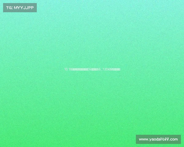 10.18万元起，比亚迪驱逐舰05轿车新增55_120KM畅行版上市